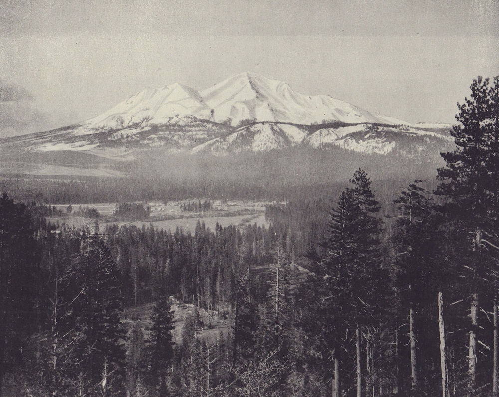 Mount Shasta, California. STODDARD 1895 old antique vintage print picture